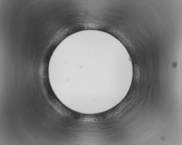 X0000116270738201001111014