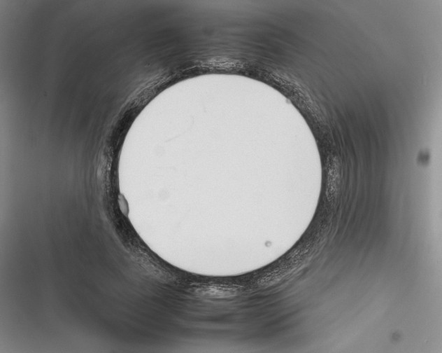 X0000116270739201001111014