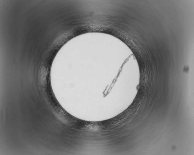 X0000116270742201001111014