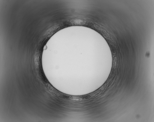 X0000116270746201001111014