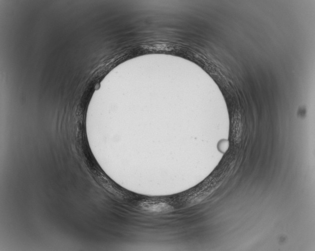 X0000116270747201001111014