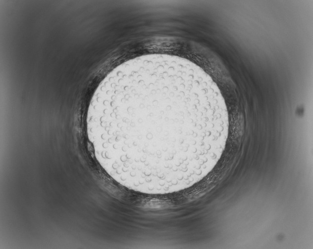 X0000116270755201001111014
