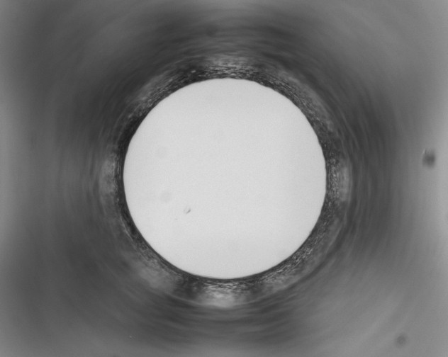 X0000116270757201001111014