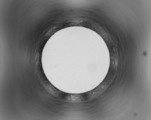 X0000116270758201001111014