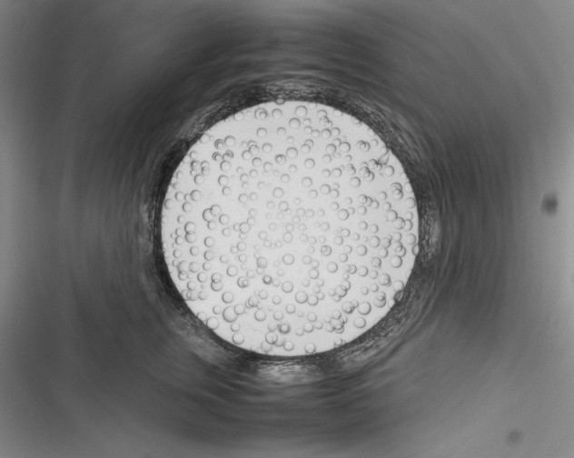 X0000116270759201001111014