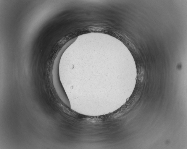 X0000116270763201001111014
