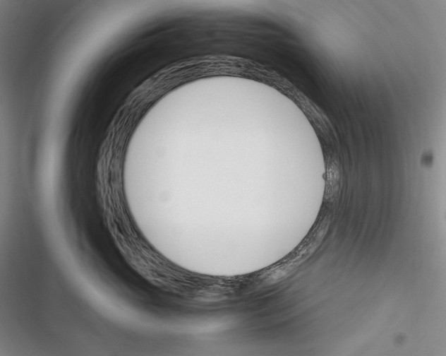 X0000116270765201001111014