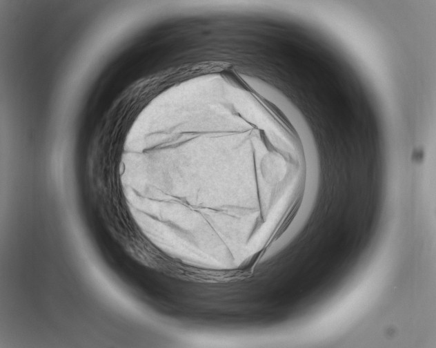 X0000116270766201001111014