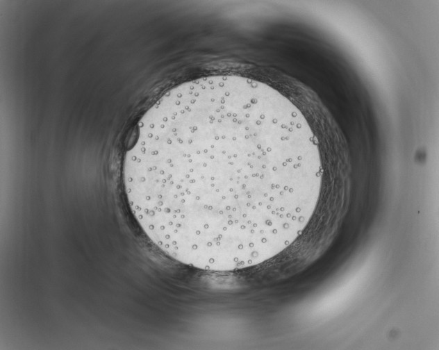 X0000116270767201001111014
