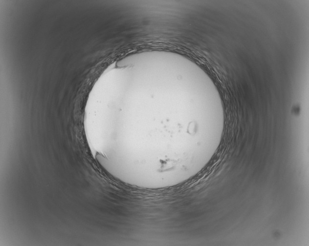 X0000116270769201001111014