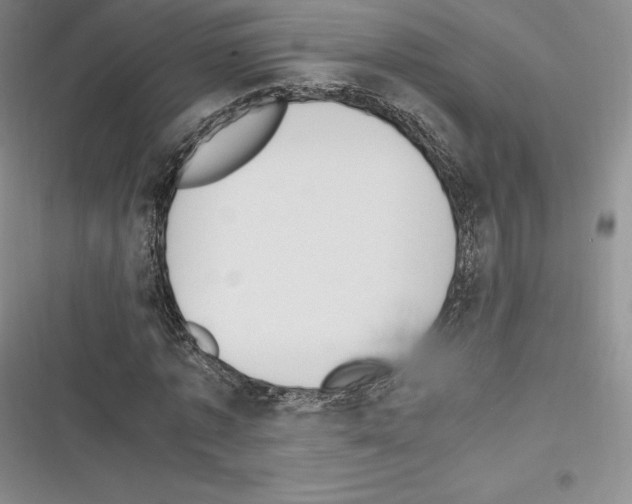 X0000116270773201001111013