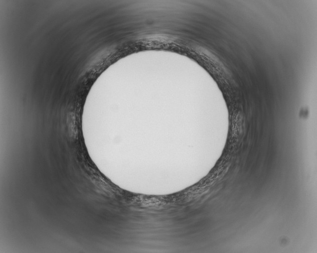 X0000116270774201001111013