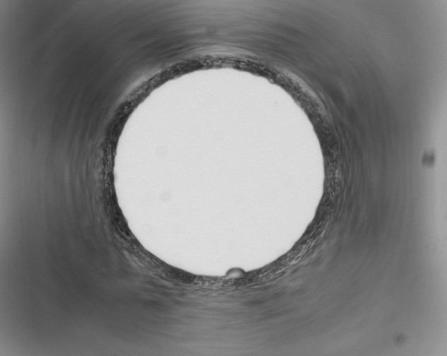 X0000116270775201001111013