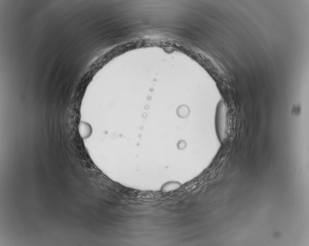 X0000116270776201001111013