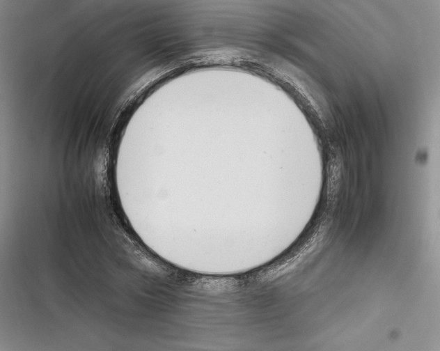 X0000116270778201001111013