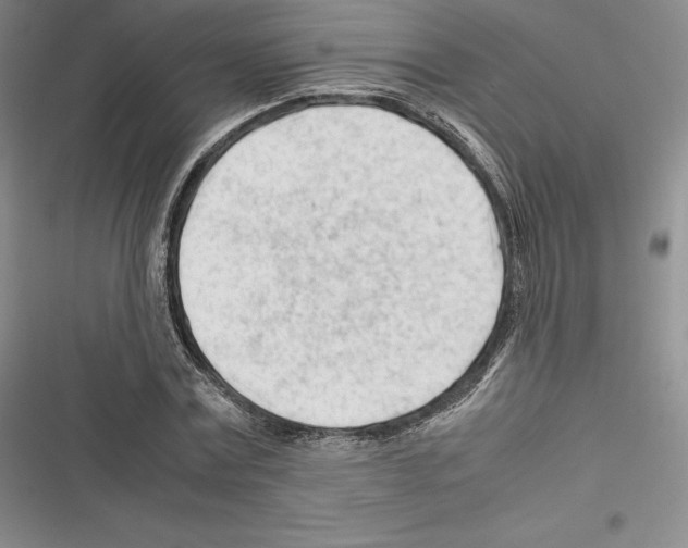 X0000116270779201001111013