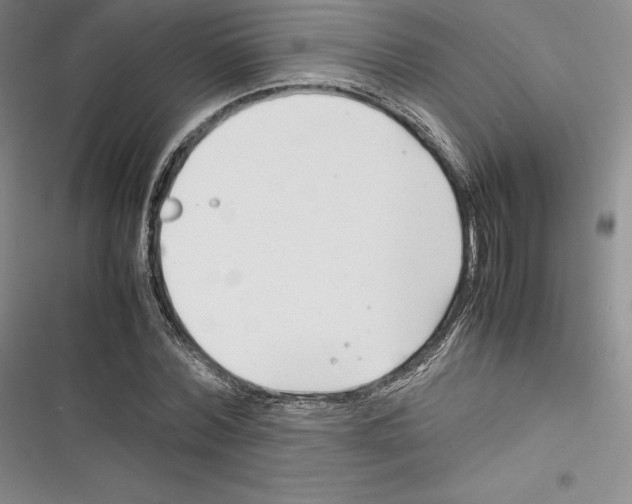 X0000116270780201001111013