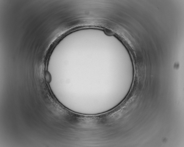 X0000116270781201001111013