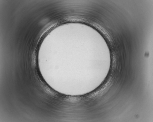 X0000116270782201001111013