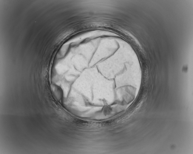 X0000116270785201001111013