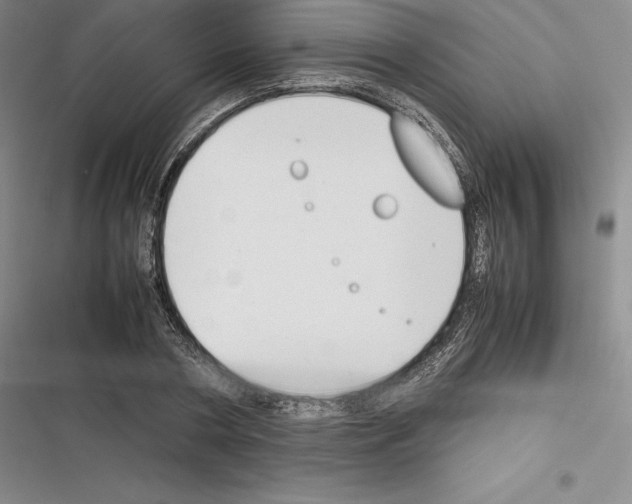 X0000116270786201001111013
