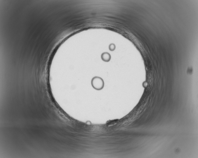 X0000116270787201001111013