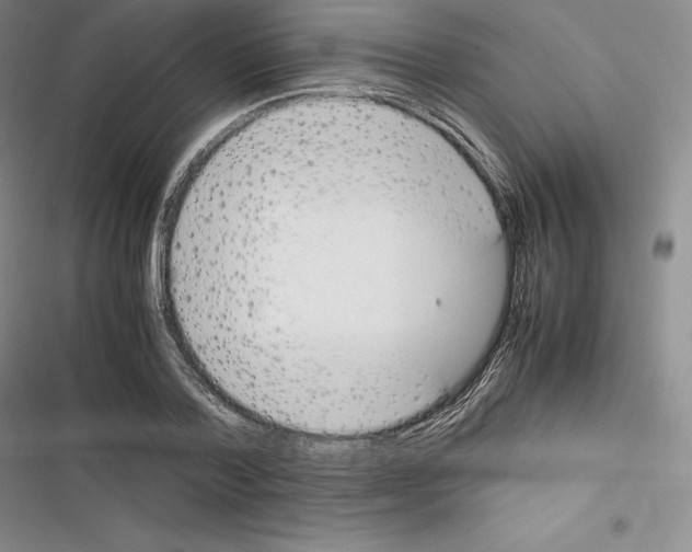 X0000116270788201001111013