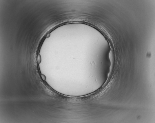 X0000116270789201001111013