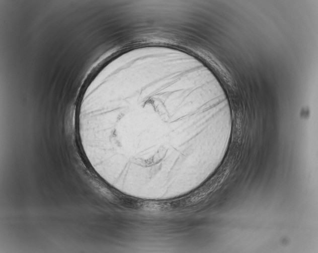 X0000116270790201001111013