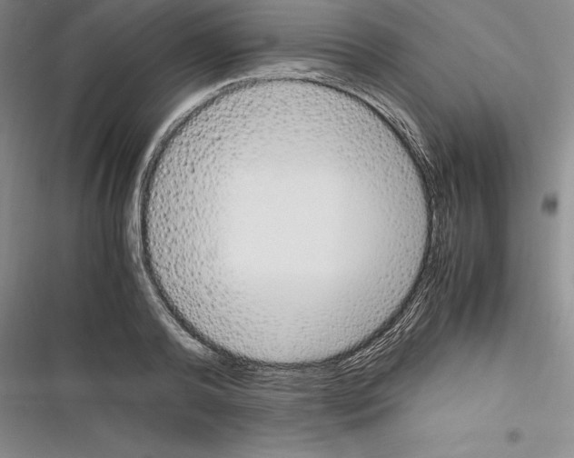 X0000116270792201001111013