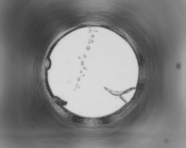 X0000116270795201001111013