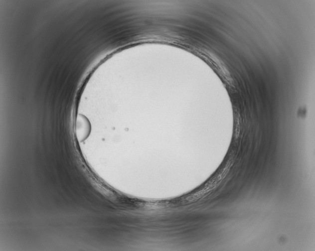 X0000116270796201001111013
