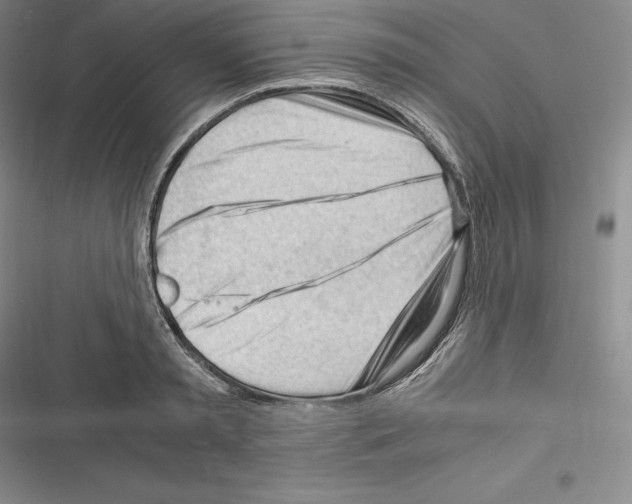 X0000116270797201001111013