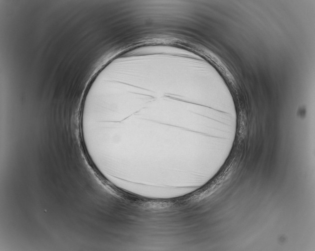 X0000116270802201001111013
