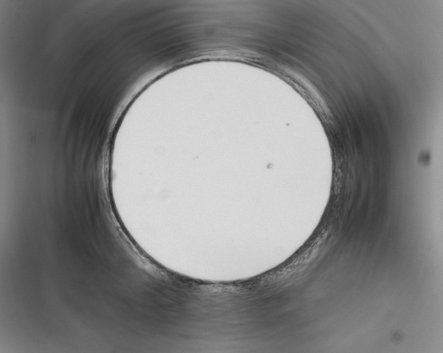 X0000116270804201001111013