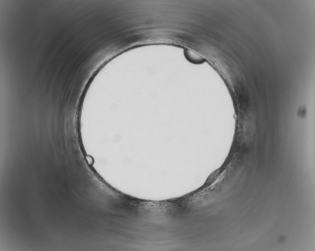 X0000116270805201001111013