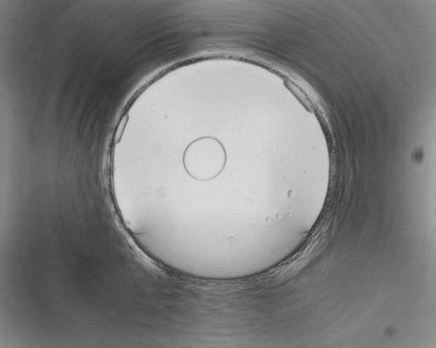 X0000116270807201001111013