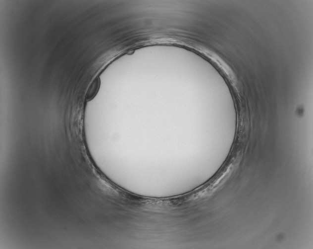X0000116270809201001111013