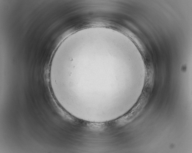 X0000116270810201001111013
