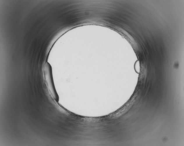 X0000116270812201001111013