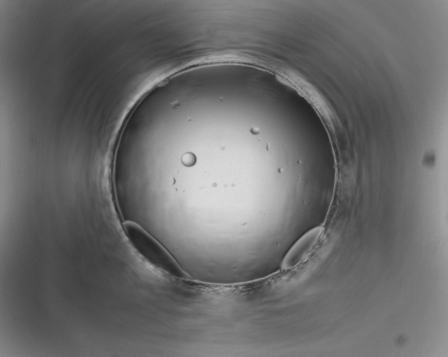 X0000116270813201001111013