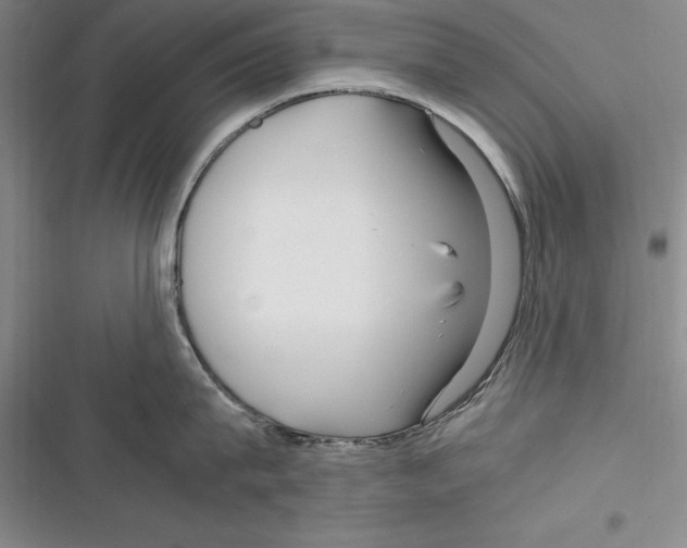 X0000116270815201001111013