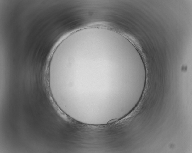 X0000116270816201001111013