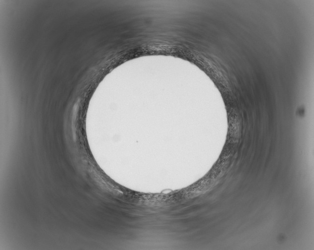 X0000116270817201001111012