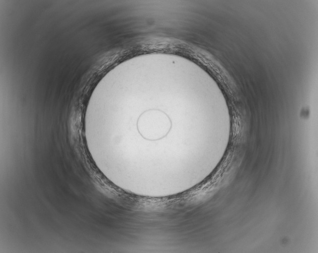X0000116270820201001111012