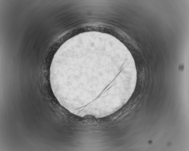 X0000116270822201001111012