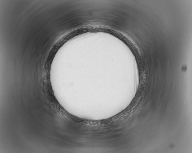 X0000116270823201001111012