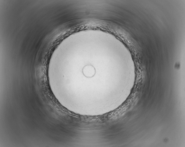 X0000116270824201001111012