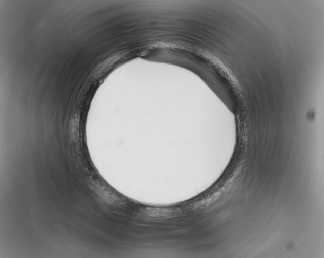 X0000116270825201001111012