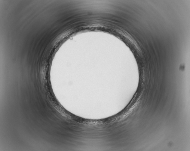 X0000116270826201001111012